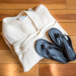 Exported - fall2019-198